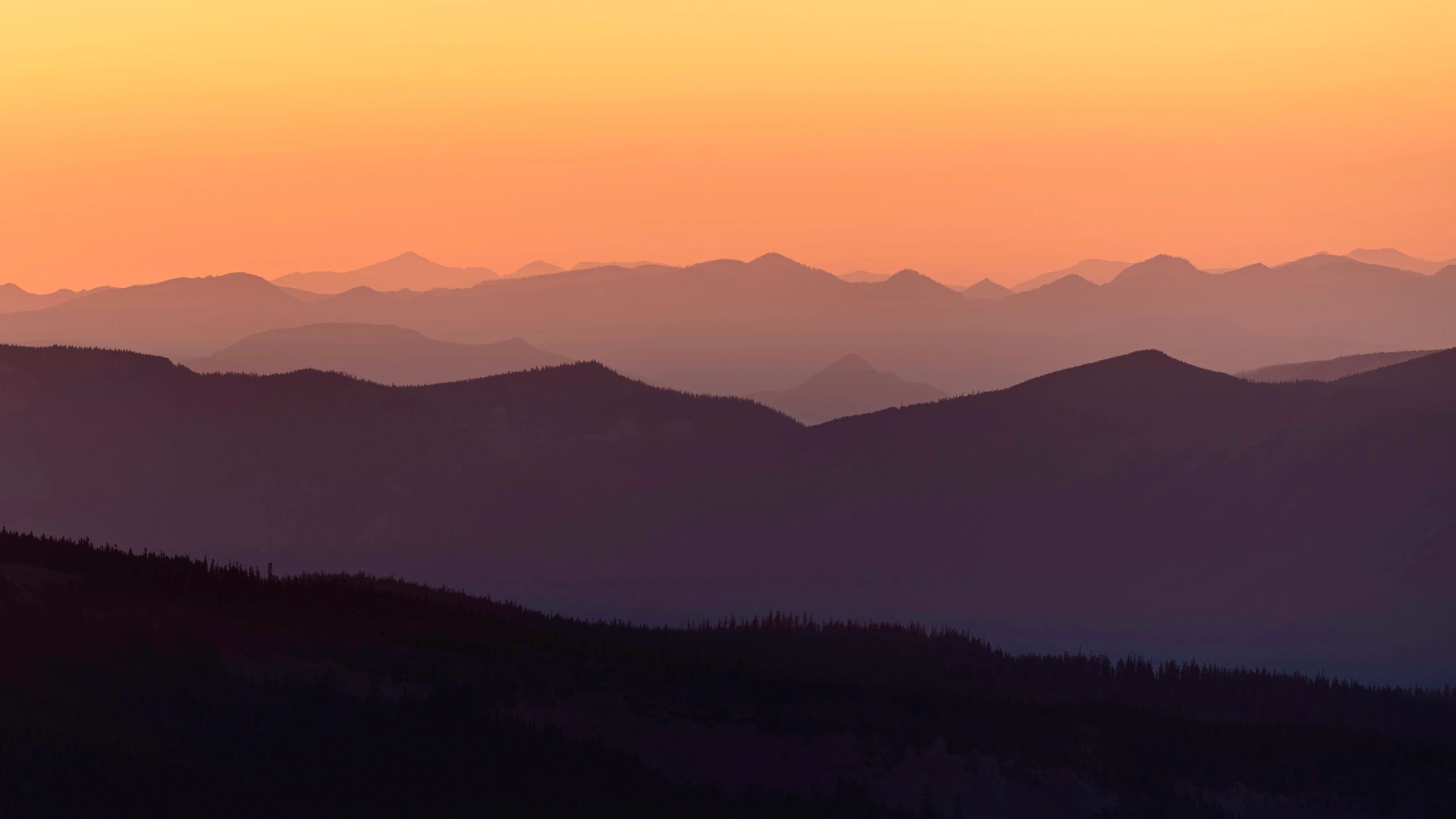 How to Choose the Perfect Utah Location for Family Photos