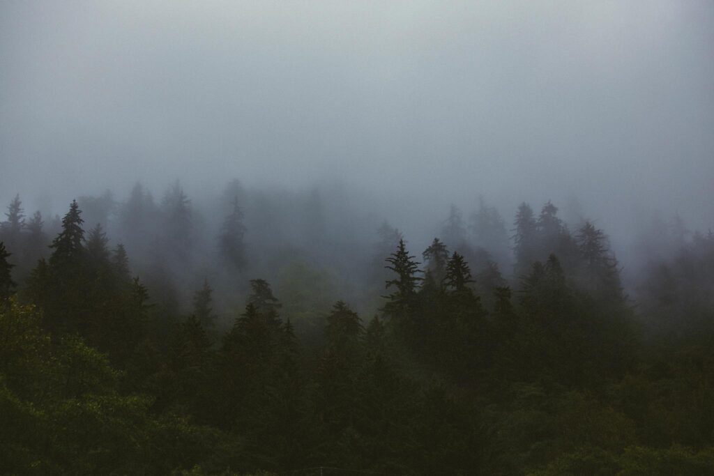 The #1 Mistake New Art Collectors Make (And How to Avoid It)