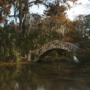 southern landscape fine art print with stone bridge and Spanish moss in New Orleans